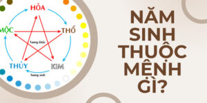 1980 mệnh gì? Giải mã phong thủy tuổi Canh Thân 1980 hợp màu nào, hướng nào, tuổi nào để hút tài lộc